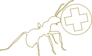 Myrmicare